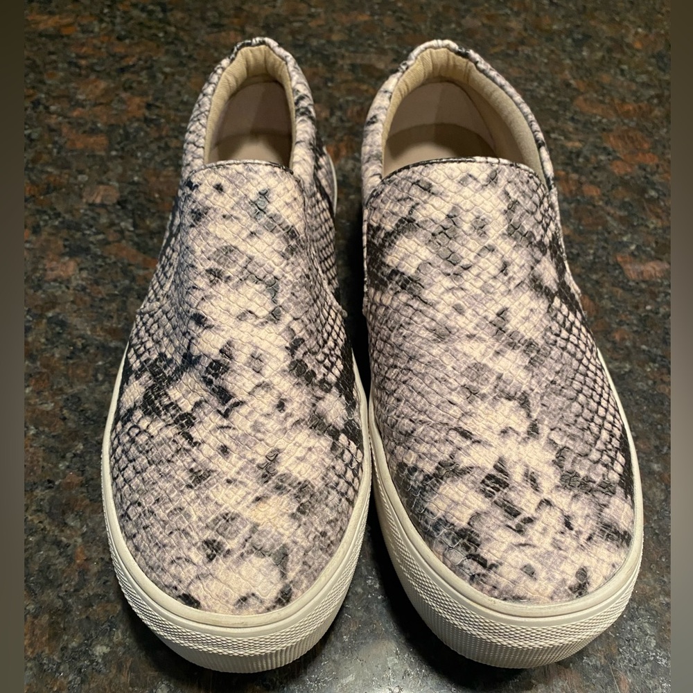 Steve Madden Gills Snake Print Sneaker - image 1
